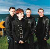 Cranberries _bio