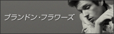 ブランドン・フラワーズ