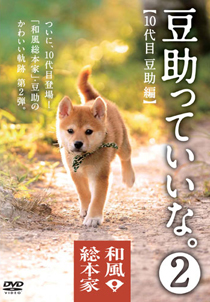 Pobd 25043_small