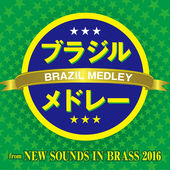 Nsib -brasil
