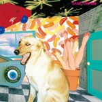 SANE DREAM~正気の夢