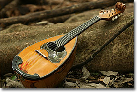 Mandolino 01