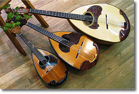 Mandolino 02