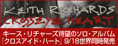 公式ページ