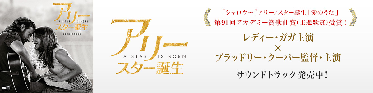 アリー/ スター誕生