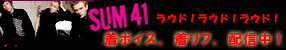 Bn _sum 41_3